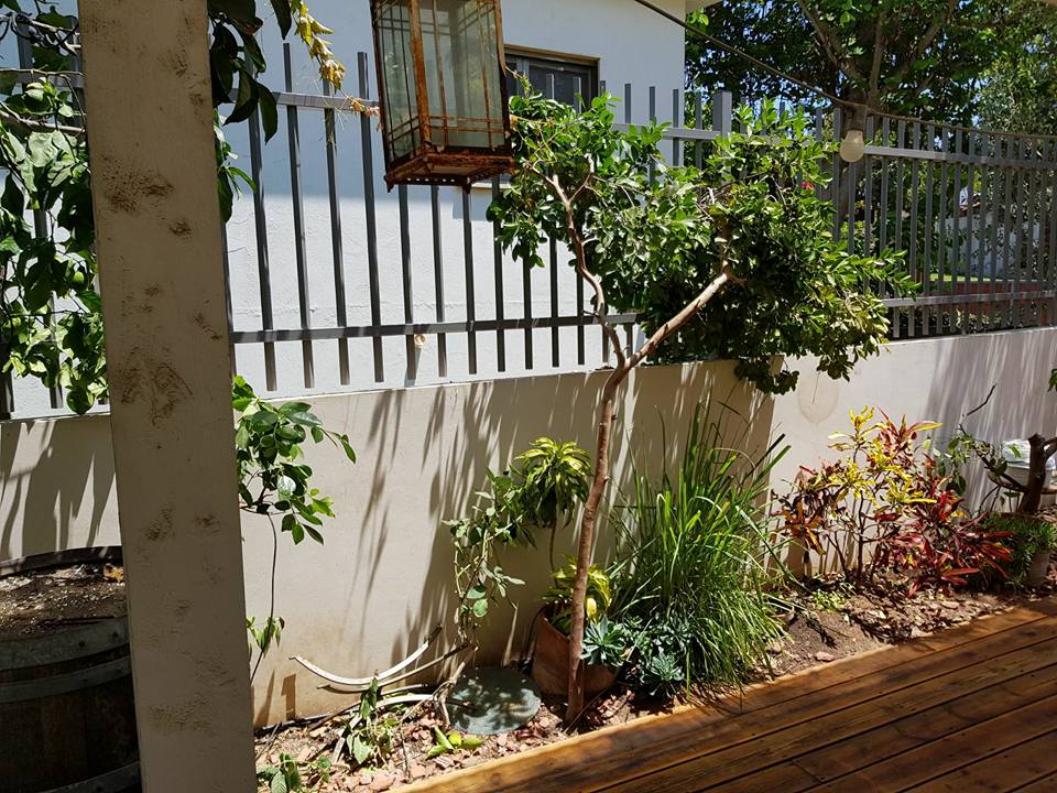 עבודות עץ ומסגרות