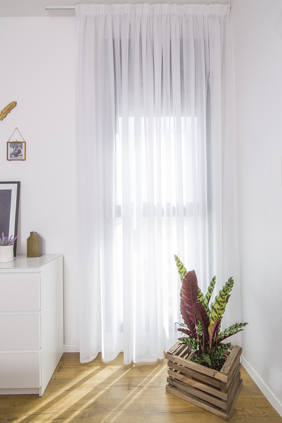 ×¢×¦××¥ ××× ××××× ×××.