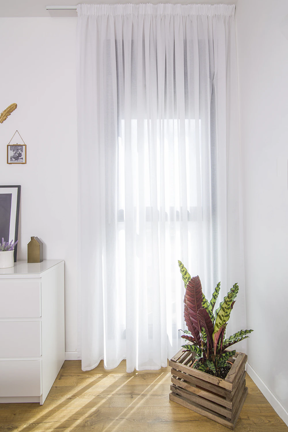 עציץ ליד וילון לבן.