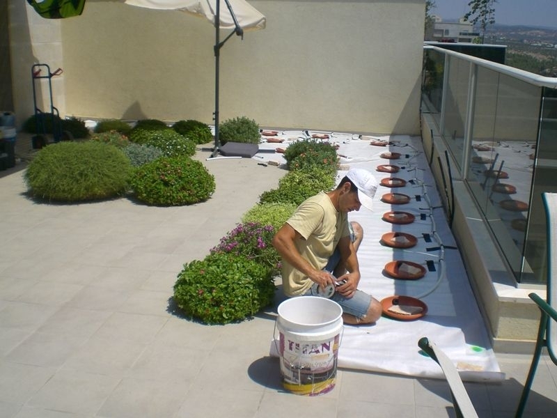 גינת גג בצור יצחק