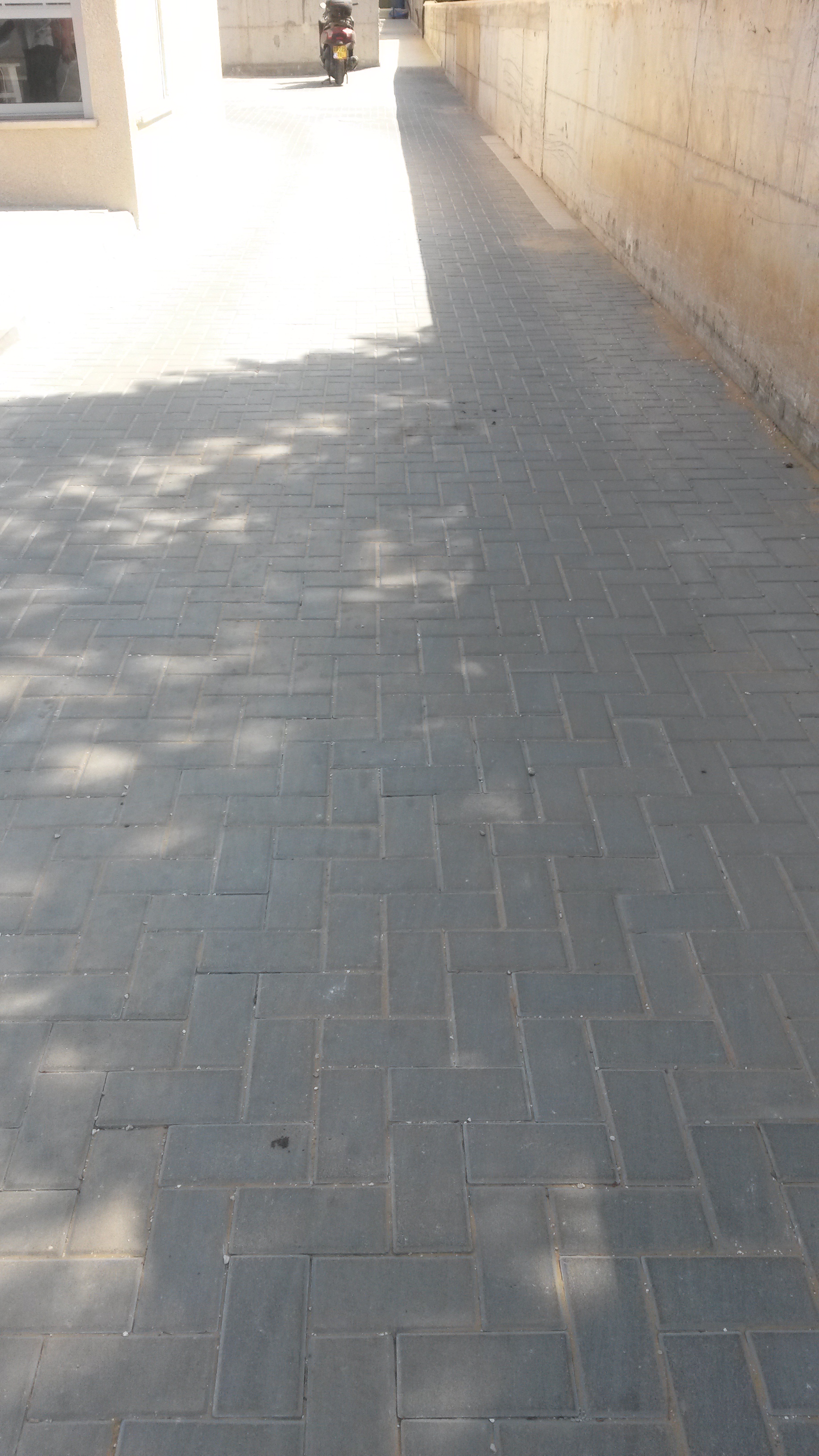 צילום מעבודה של זיאד זיאדנה