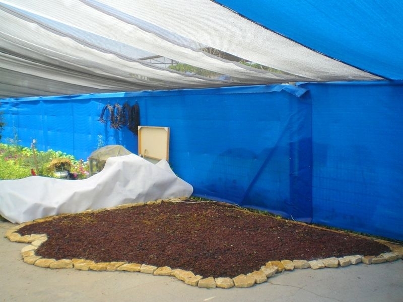 גינות יפניות