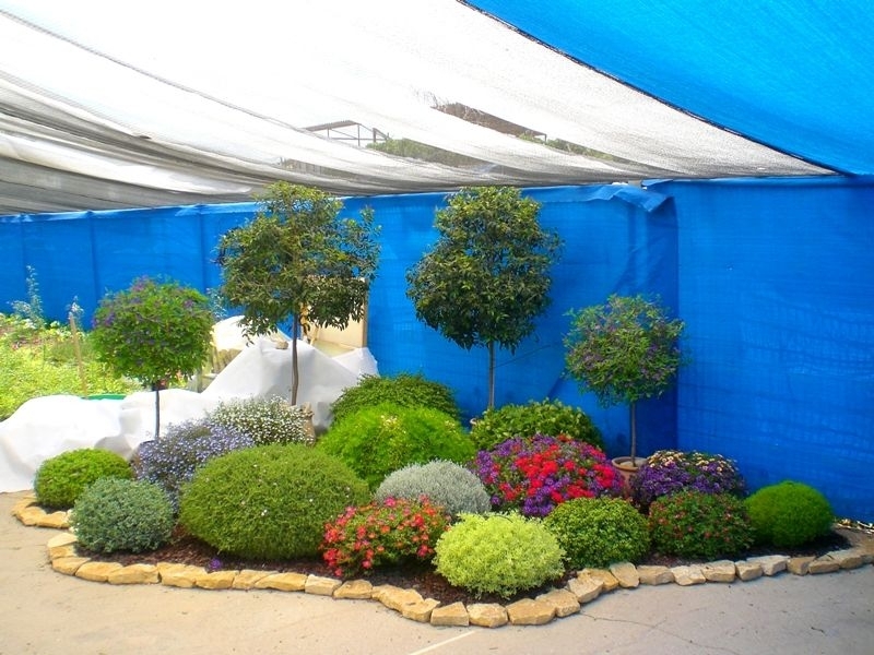 גינות יפניות