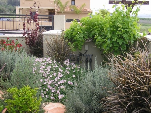 תכנון עיצוב גינות