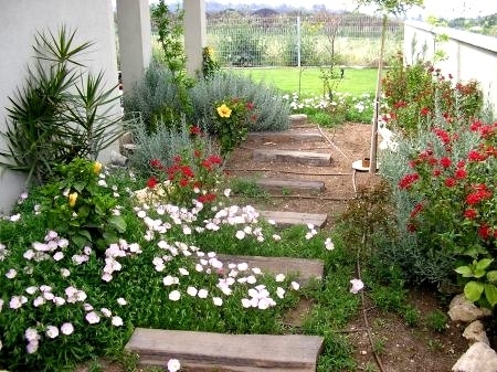 תכנון עיצוב גינות