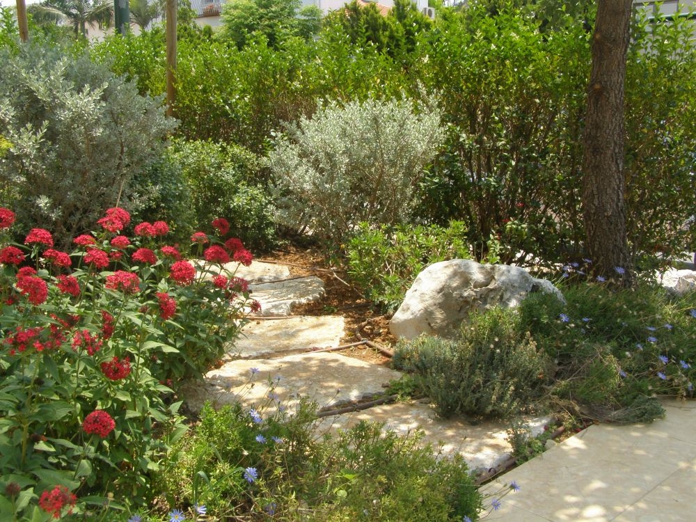 צילום מעבודה של זאב דיאמנט