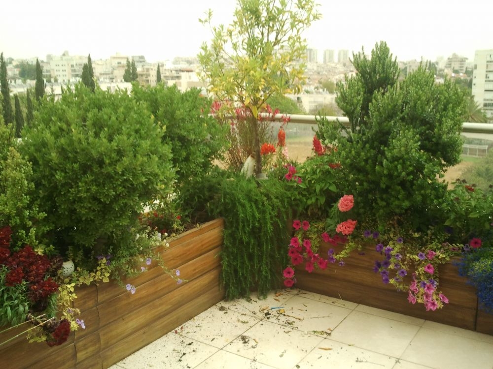 גינה המותאמת לזוג מבוגרים עסוקים שמארחים חברים נכדים ומשפחה