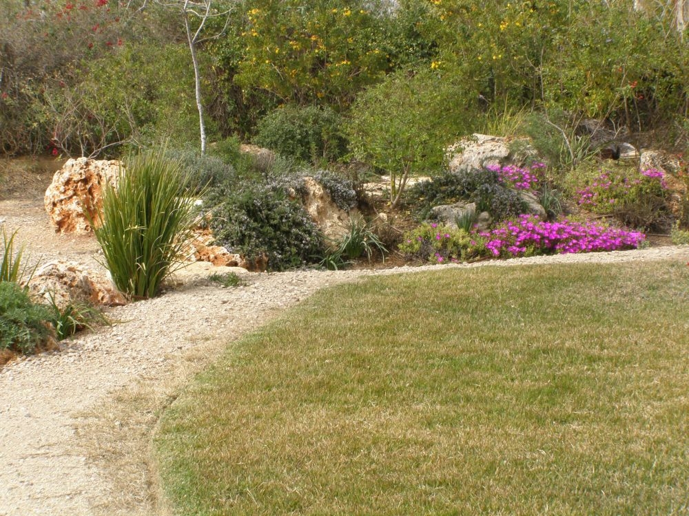 גינה המותאמת לזוג מבוגרים עסוקים שמארחים חברים נכדים ומשפחה