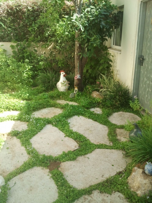 גינה המותאמת לזוג מבוגרים עסוקים שמארחים חברים נכדים ומשפחה