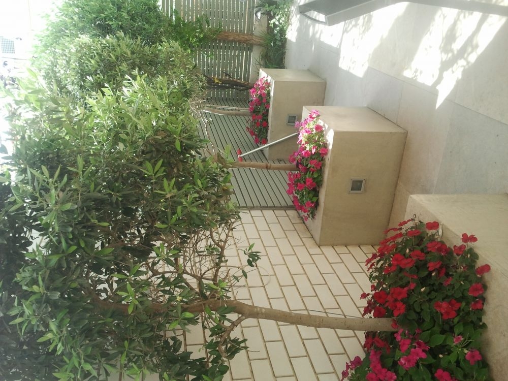 גינה המותאמת לזוג מבוגרים עסוקים שמארחים חברים נכדים ומשפחה