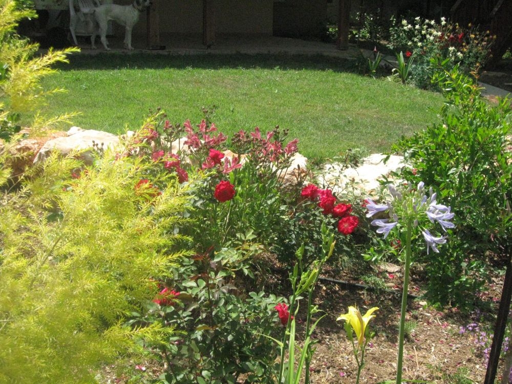 צילום מעבודה של סער ראובן