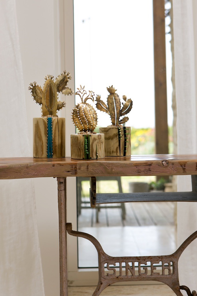 ×¢××××ª ××× ××ª ×©× ×§×§×××¡××. 