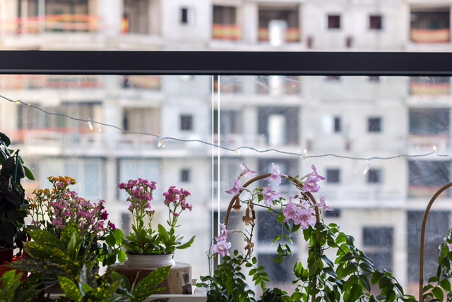 ×¦×××× ××××¨×× ×××¨××§.