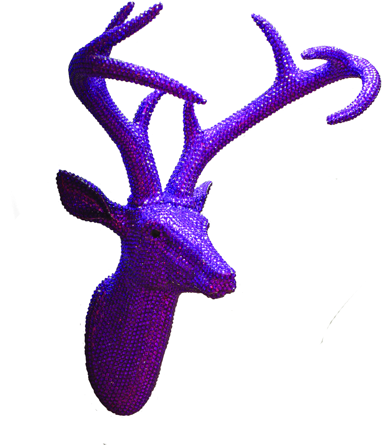 ×¨××© ×©× ×¦×× ××¡×××