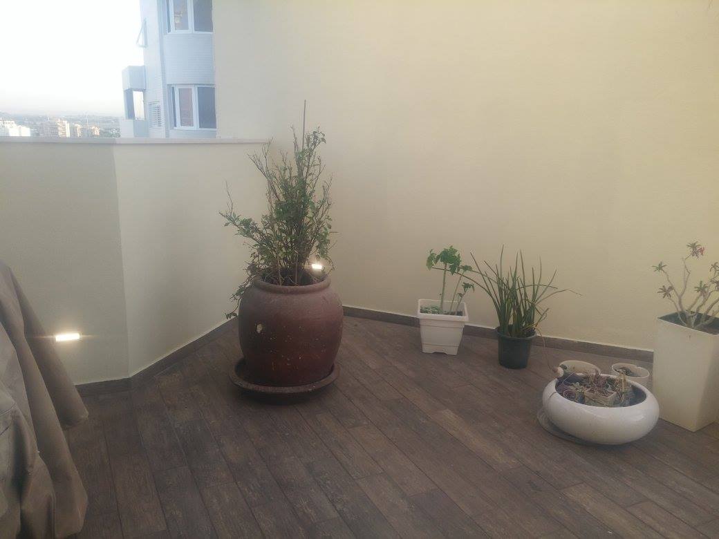 צילום מעבודה של מרדכי כהן