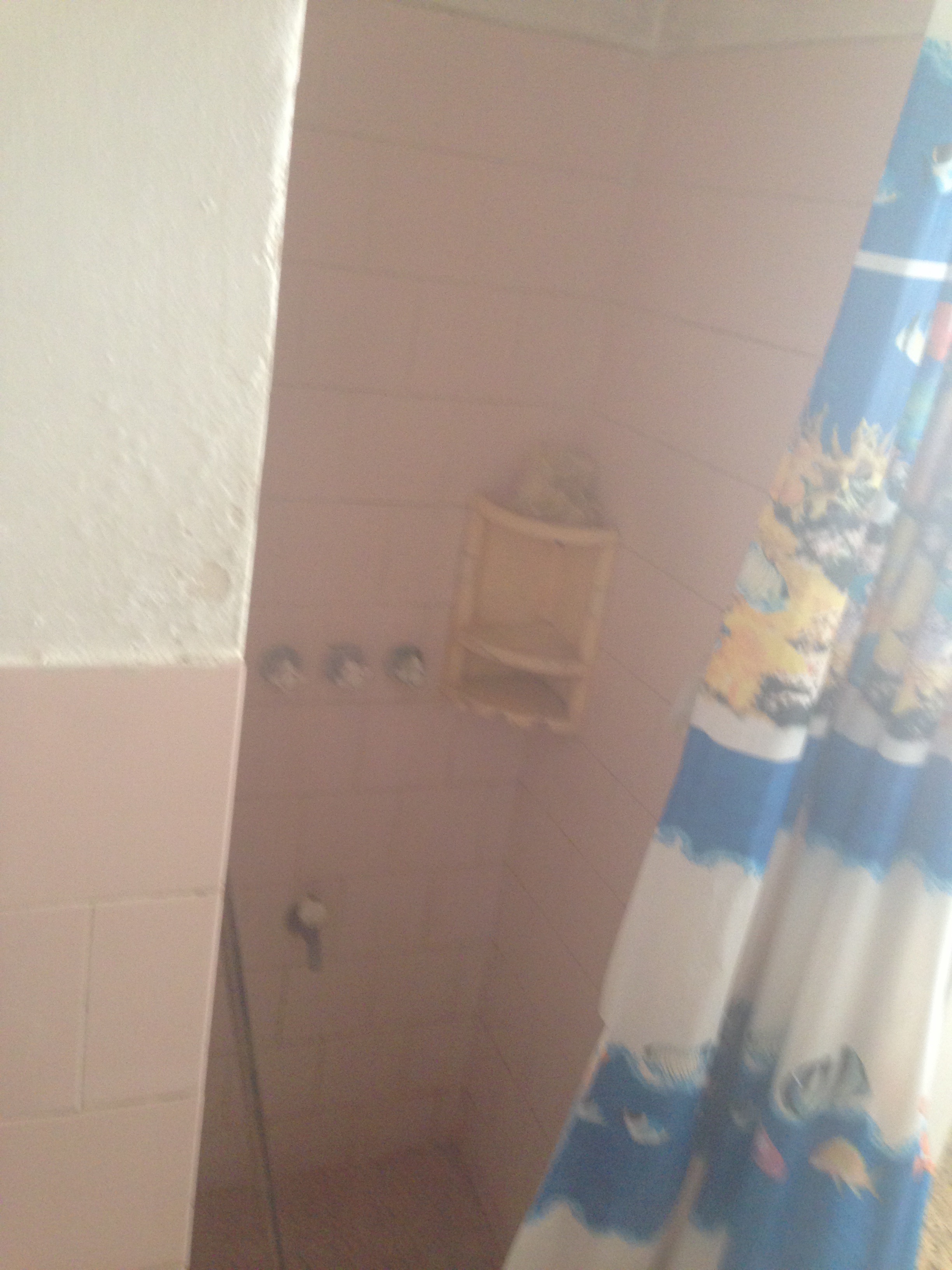 שיפוץ כללי בראשון לציון