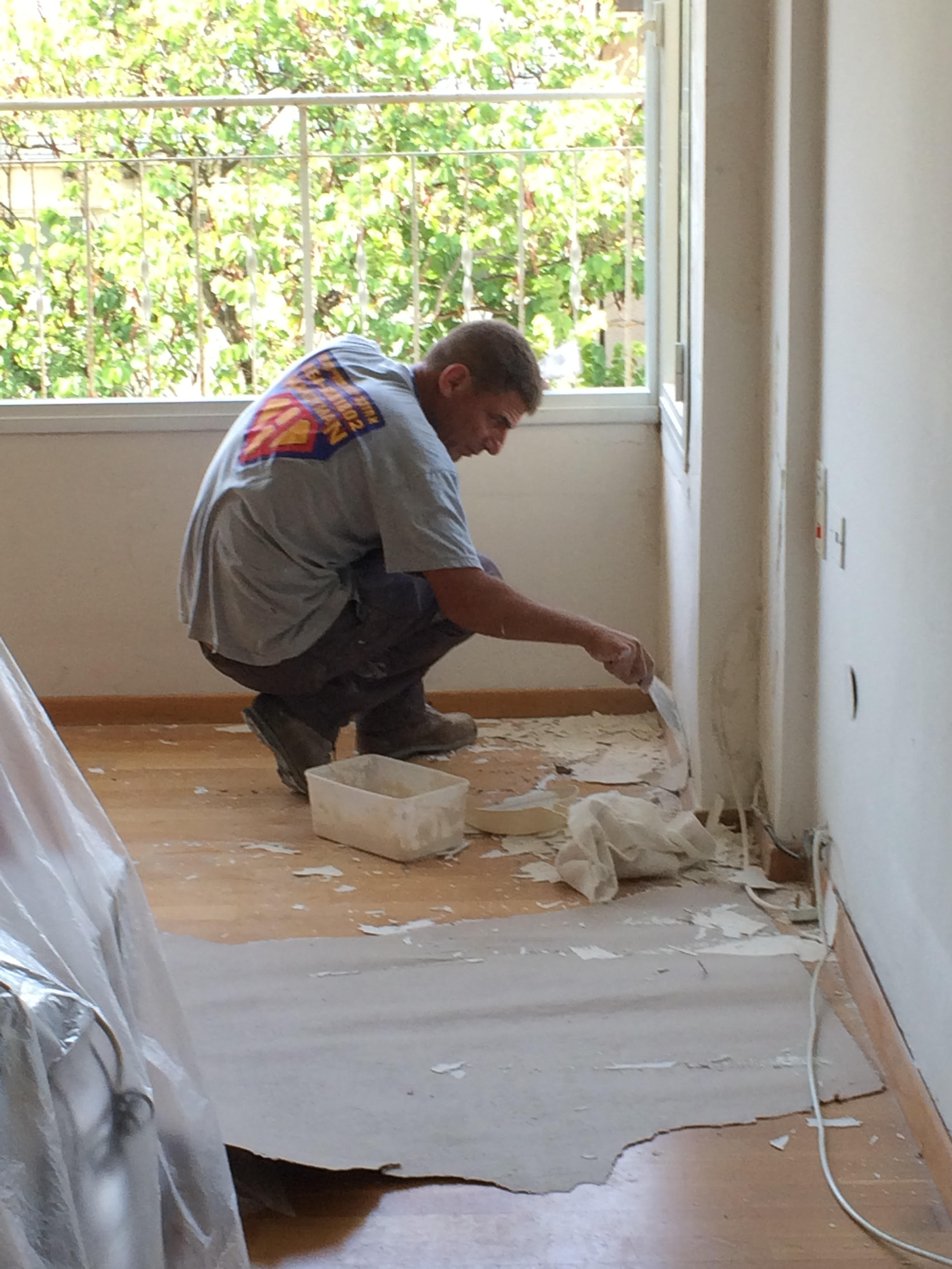 צביעה ותיקונים