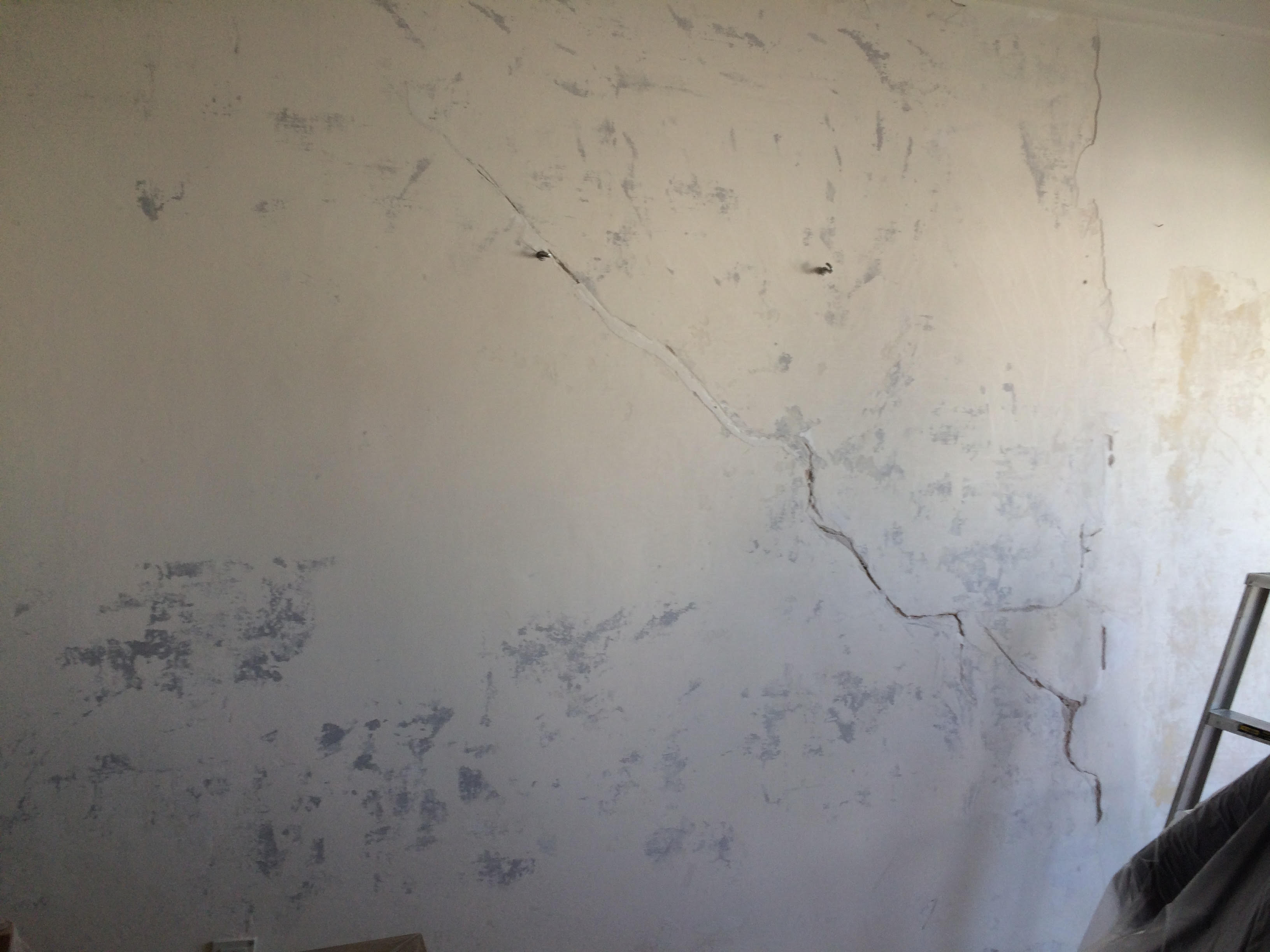 צביעה ותיקונים