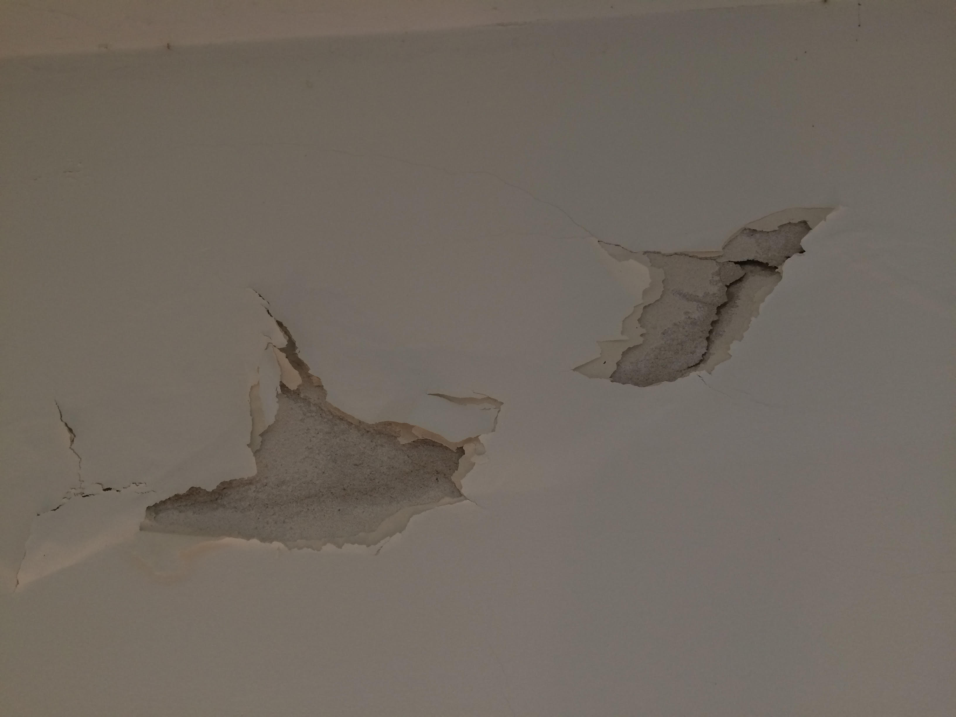 צביעה ותיקונים