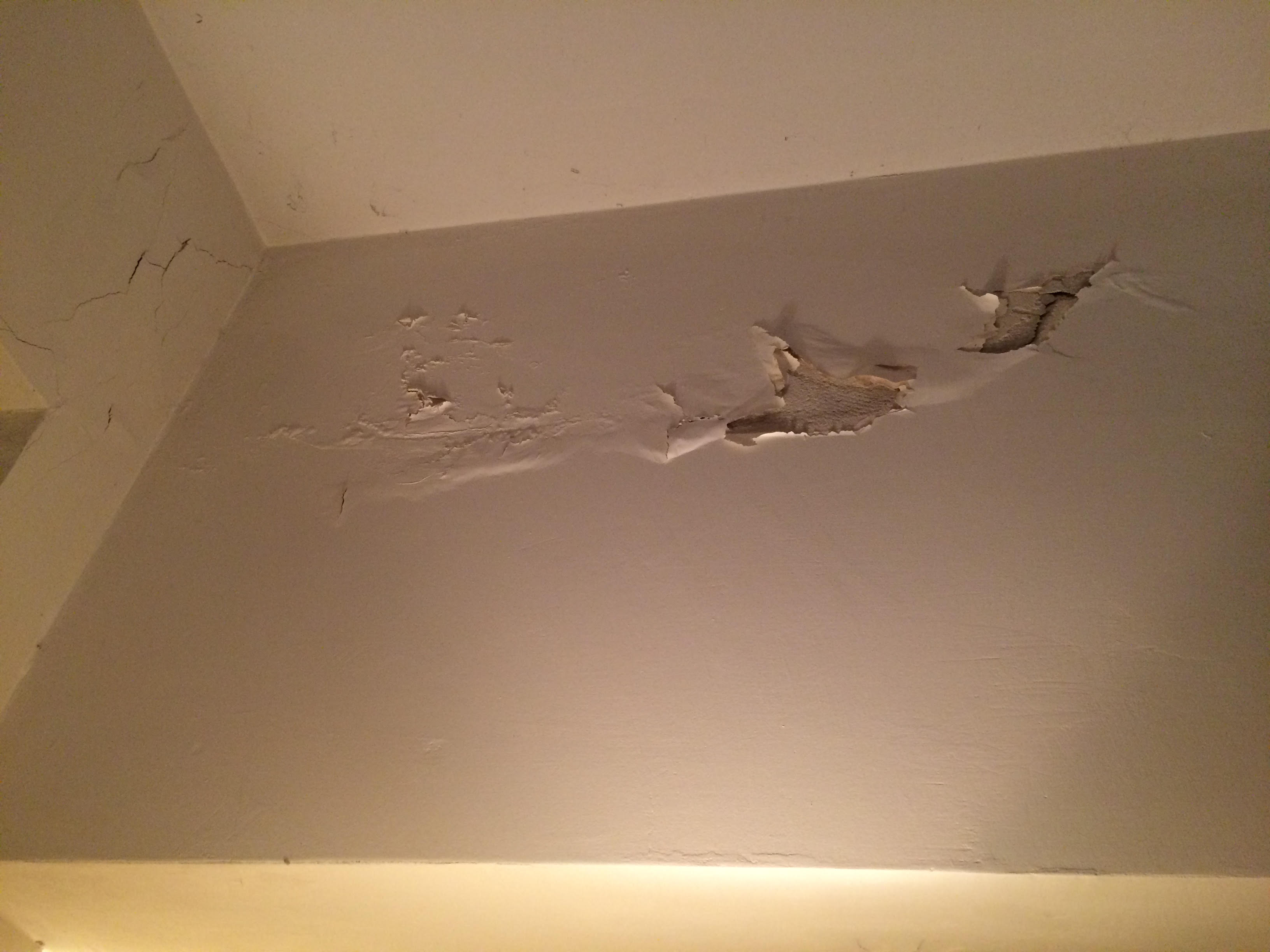 צביעה ותיקונים