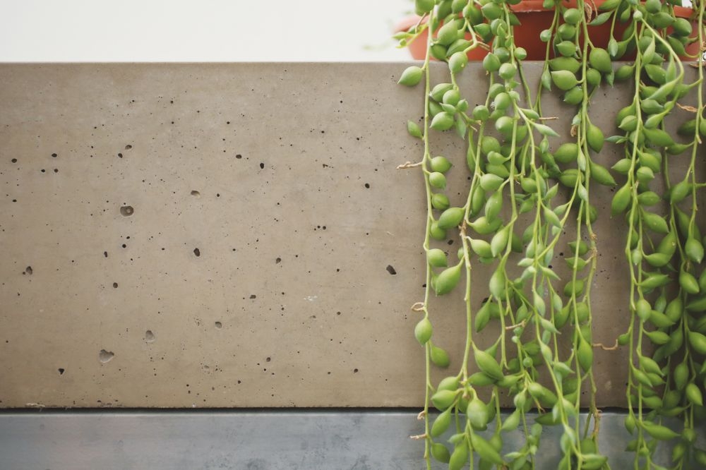 דירה אורבנית