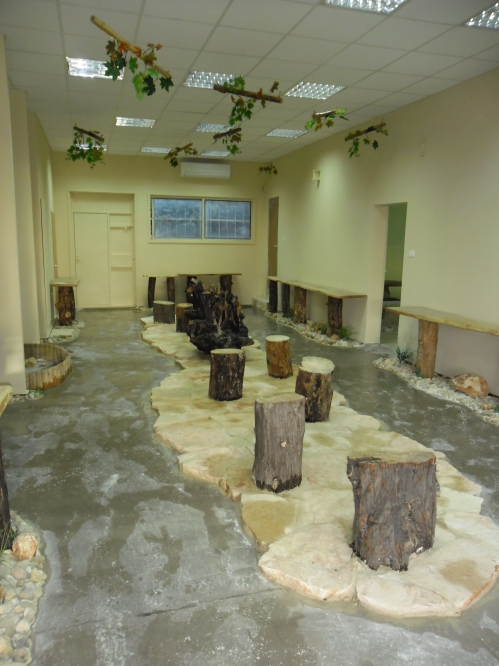 פרוייקט שכניה