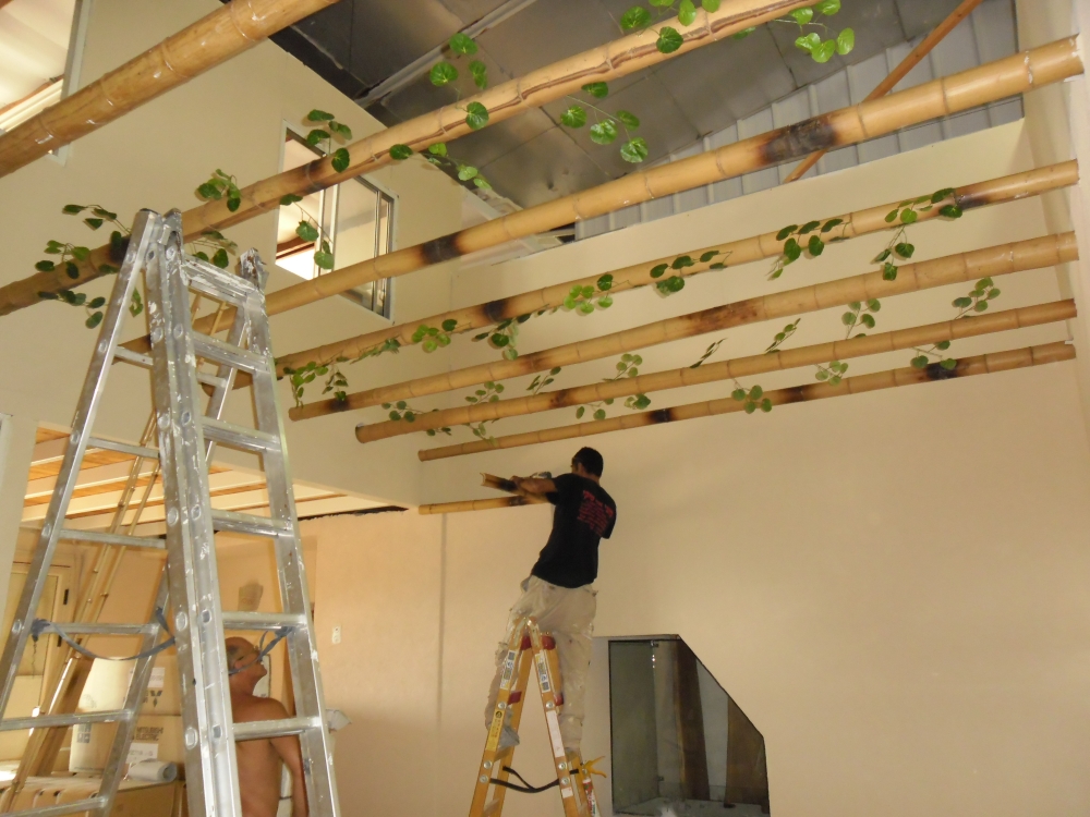 פרוייקט שכניה