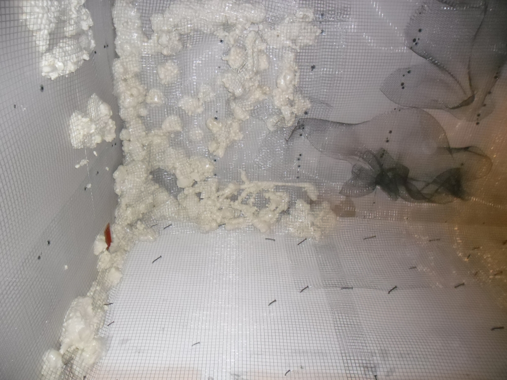 פרוייקט שכניה