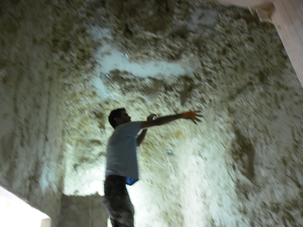 פרוייקט שכניה