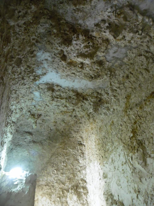 פרוייקט שכניה