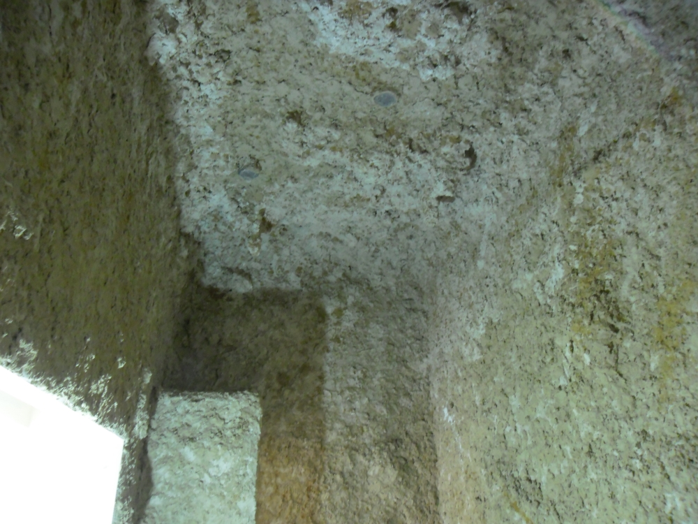 פרוייקט שכניה