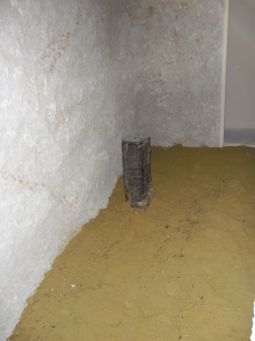 פרוייקט שכניה