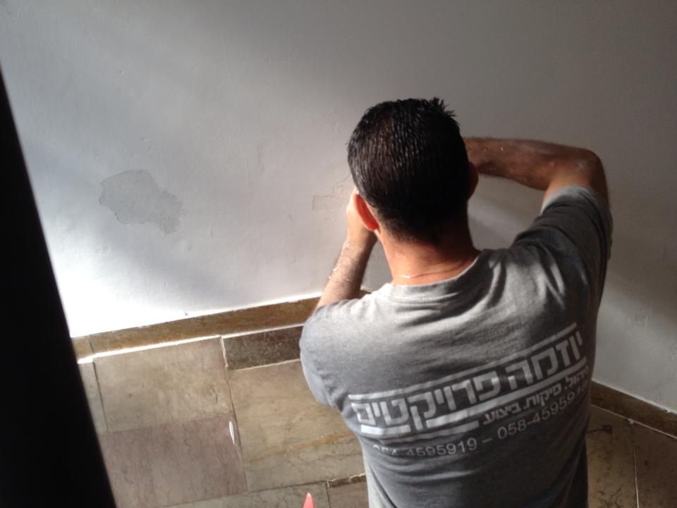 שיפוץ בניין כללי