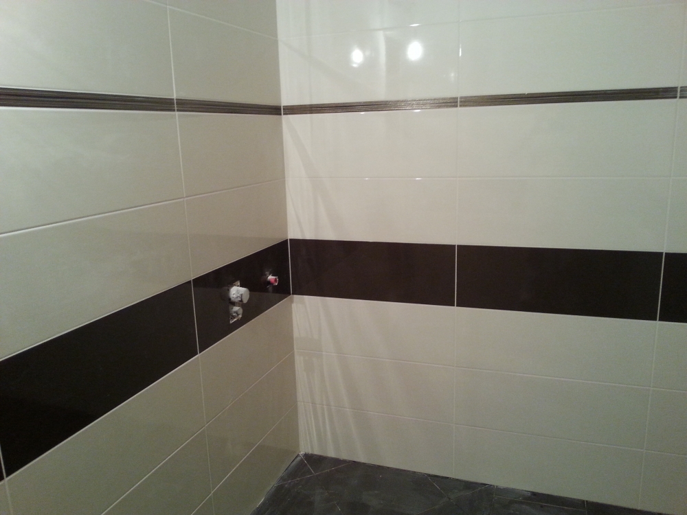 אמבטיות וחדרי שירותים