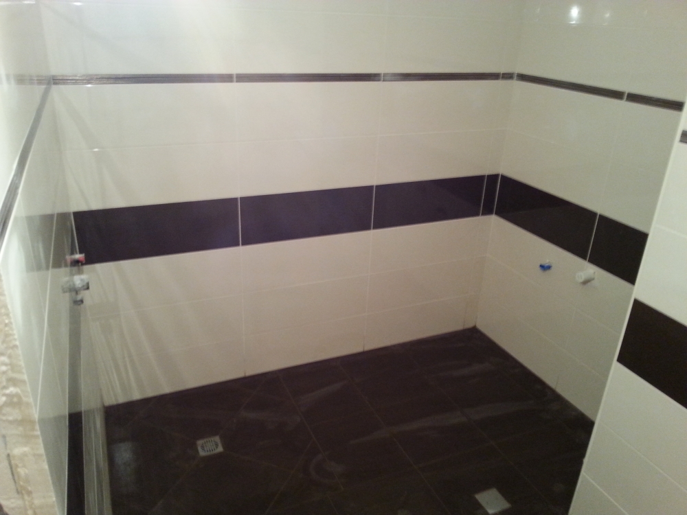 אמבטיות וחדרי שירותים