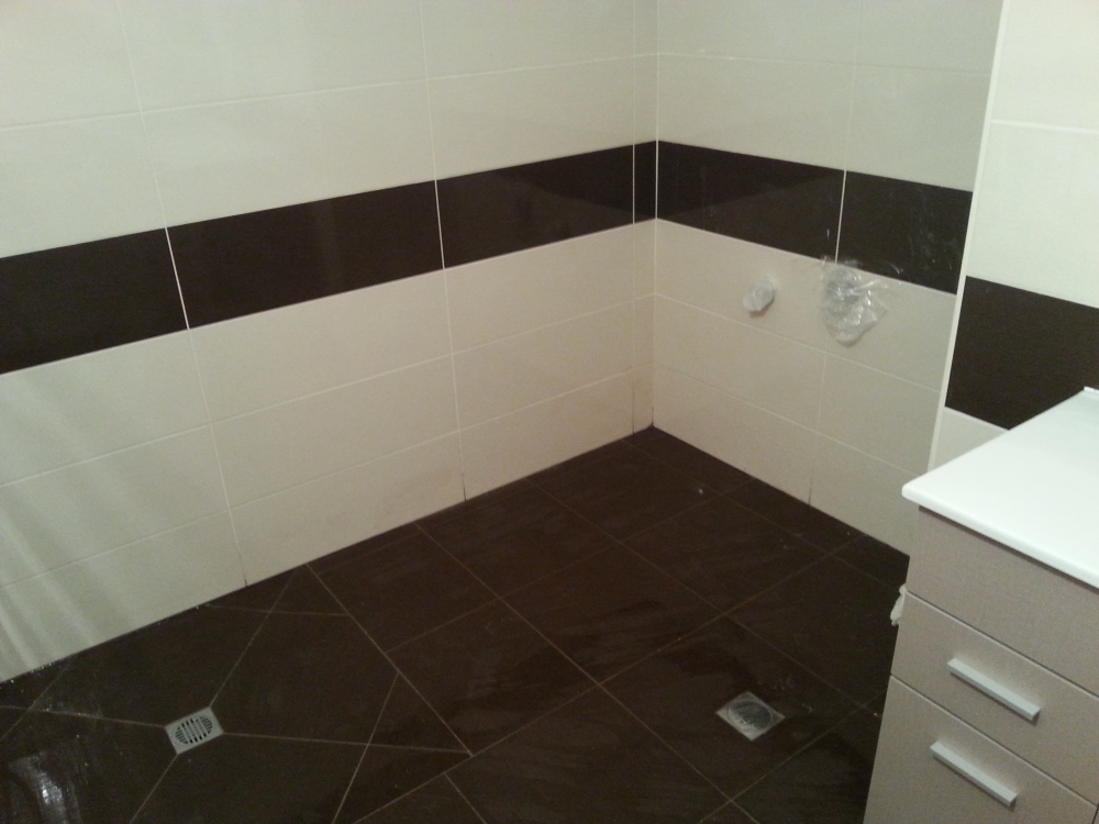 אמבטיות וחדרי שירותים