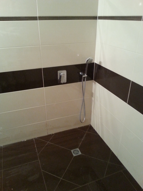 אמבטיות וחדרי שירותים