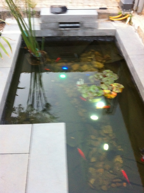 בית פרטי ראשל"צ