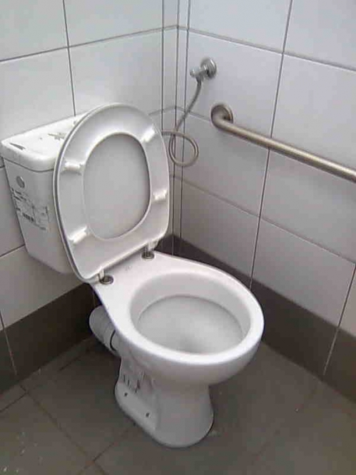 שיפוץ שרותי נכים