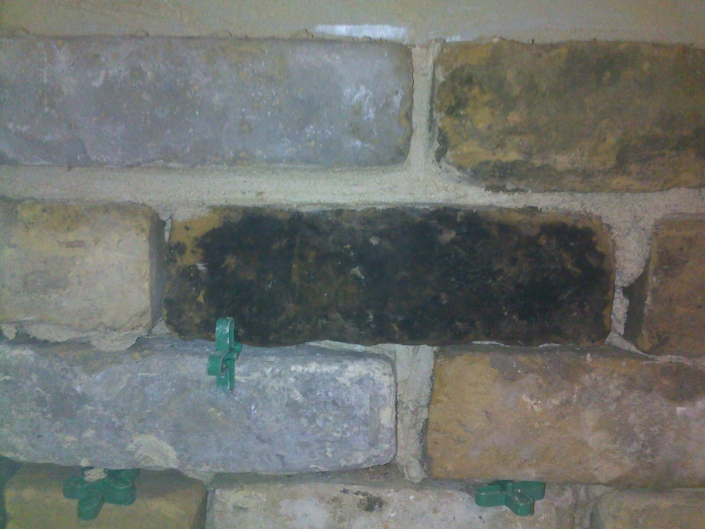 חיפוי קיר באבן עתיקה