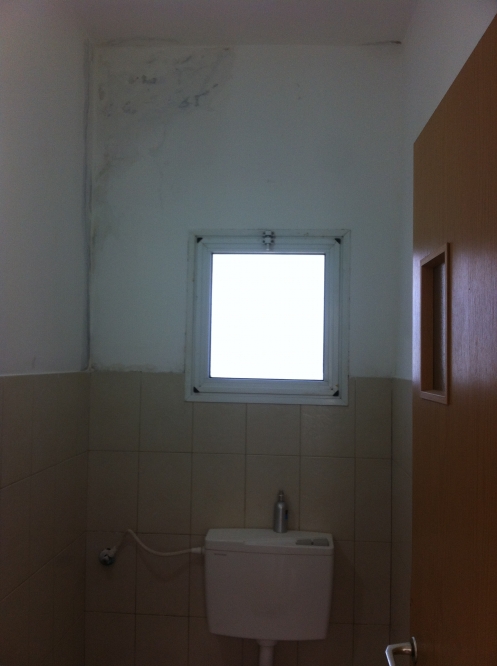 גדר, תיקונים וצבע