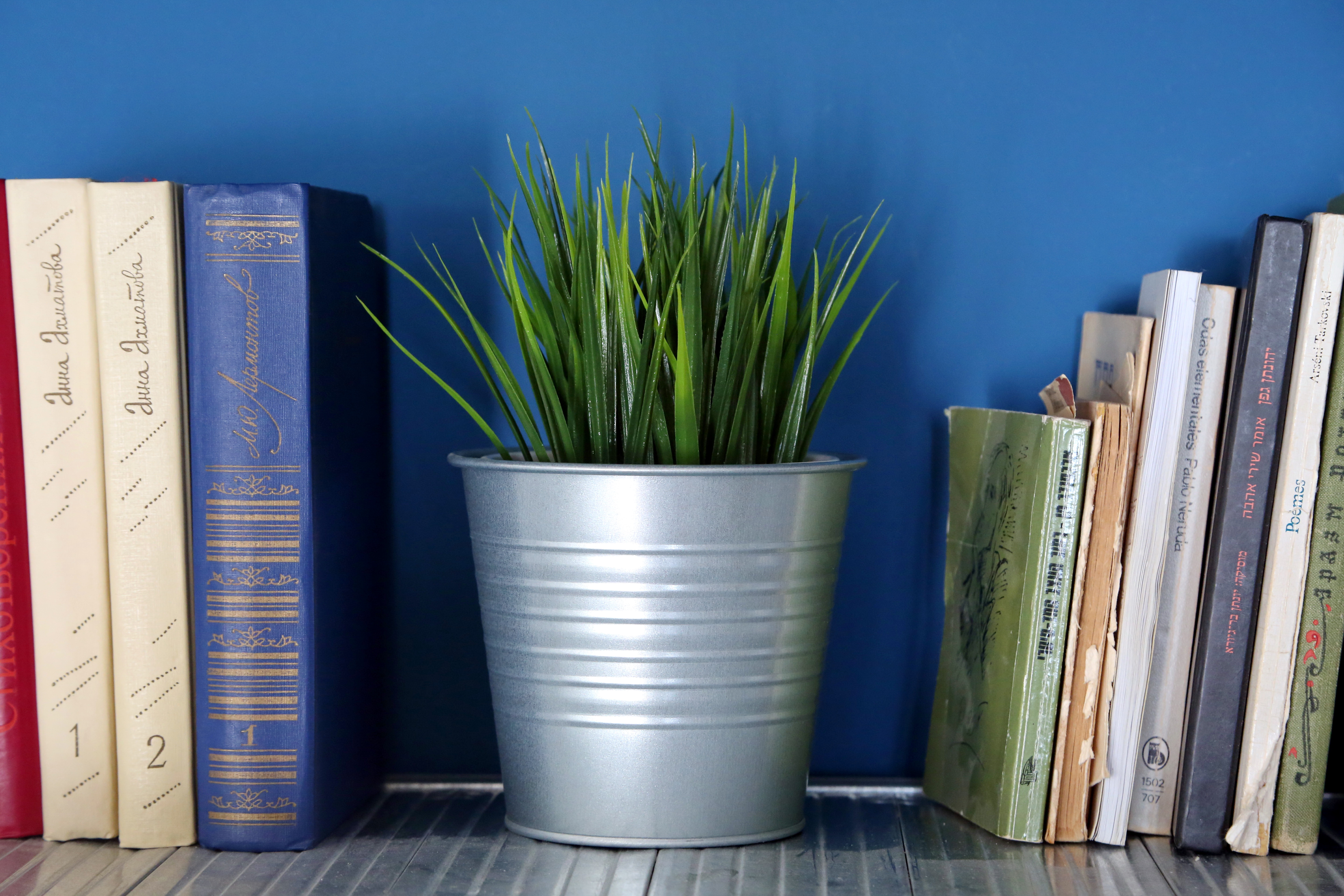 ×¢×¦××¥ ××ª××ª×