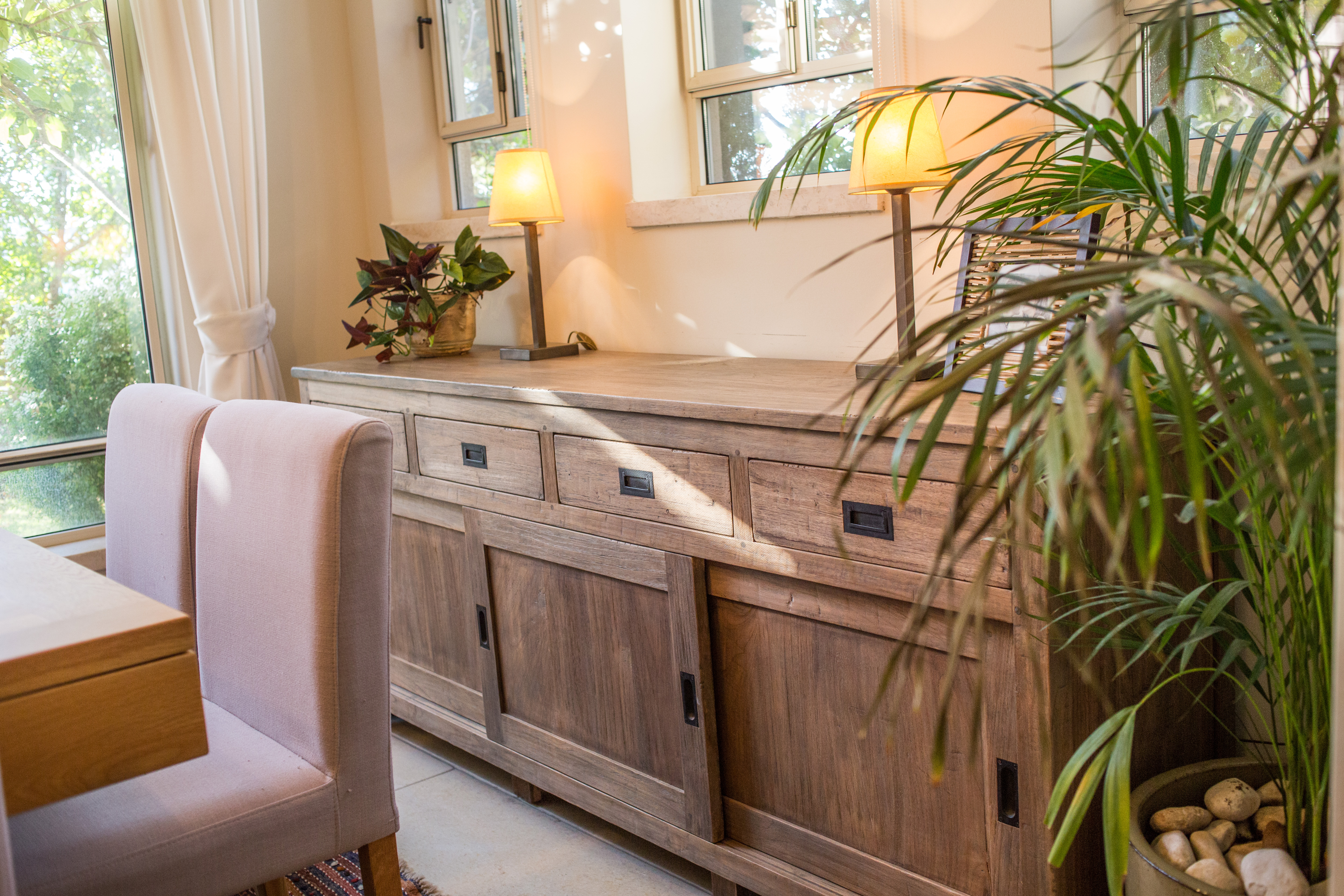 ×©×××ª ×¢×¥ ×××§