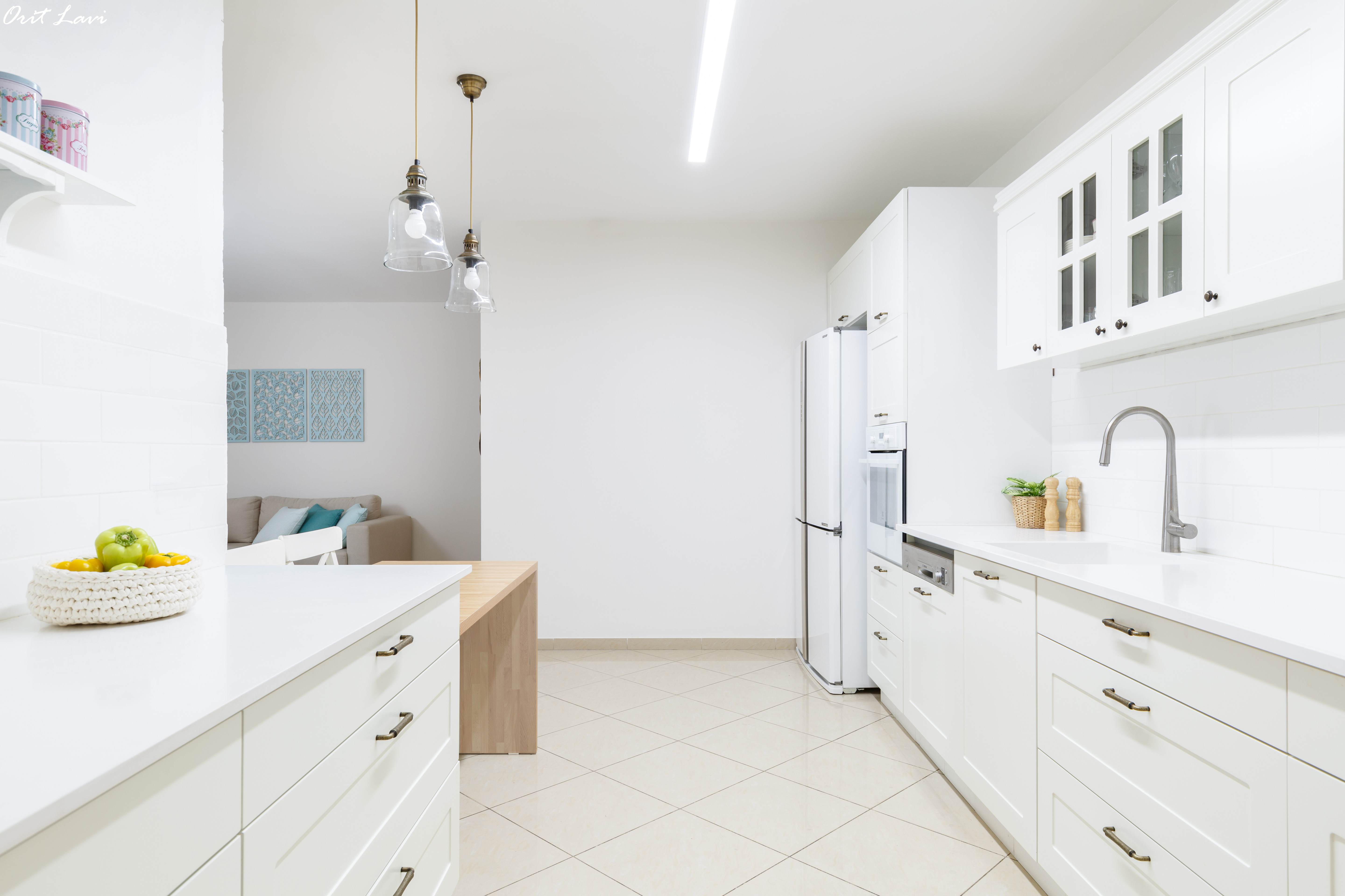 מגוון פרוייקטים של בתים פרטיים ודירות