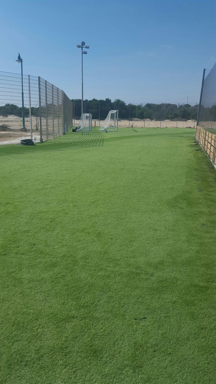 דלתות, פרגולות, פרקטים, דקים ודשא סינטטי