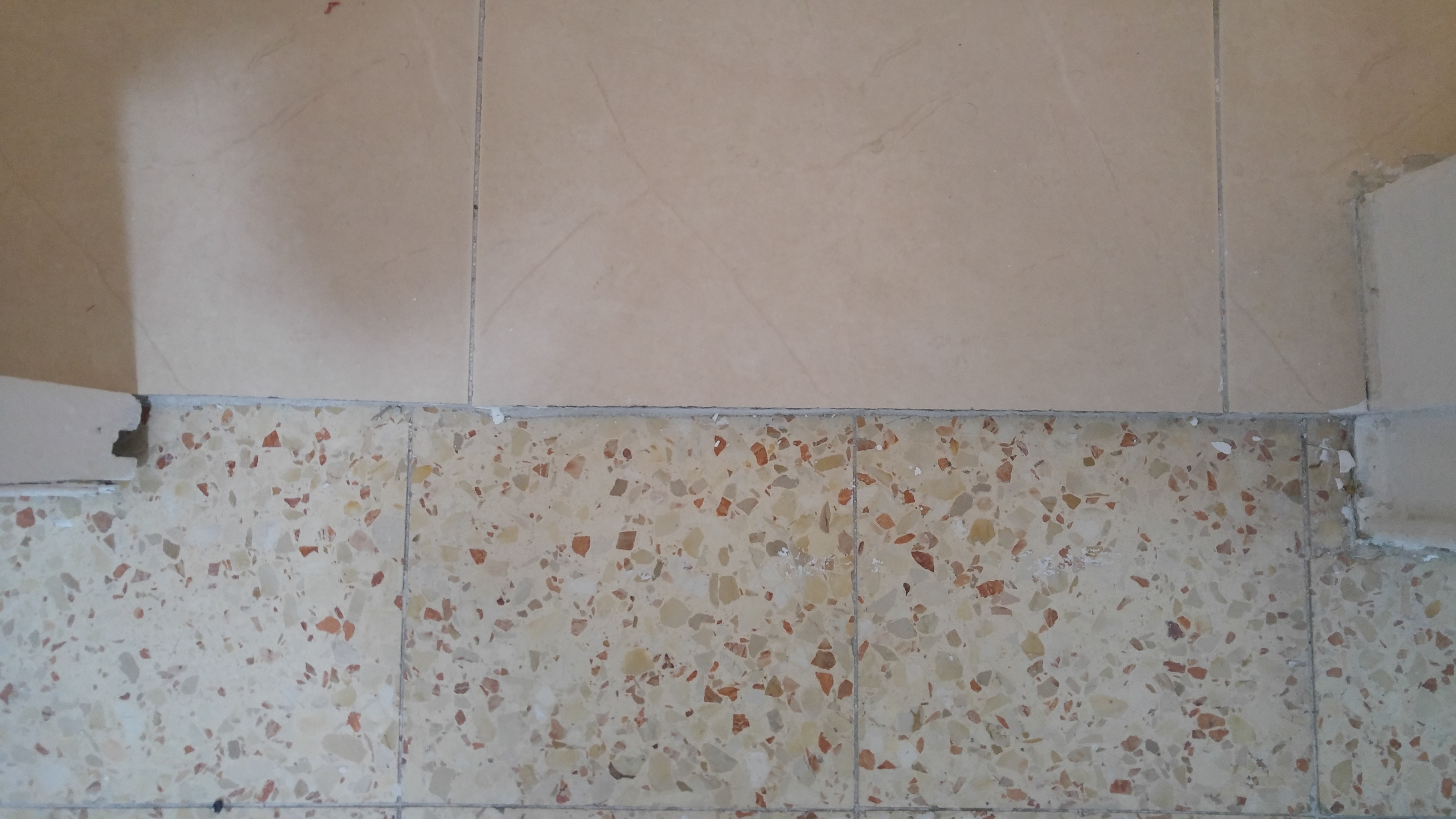 ×××××× ××× ×¡××× ×¨××¦××£