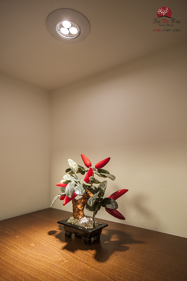 שיפוץ דירה בראשל"צ