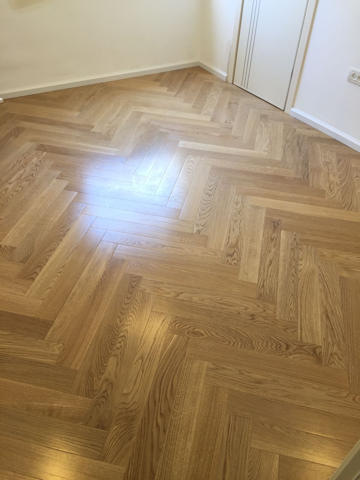 צילום מעבודה של ג'ואי דימוס