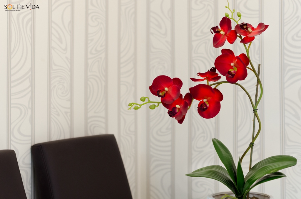 תמ"א 38 לדירה בר"ג