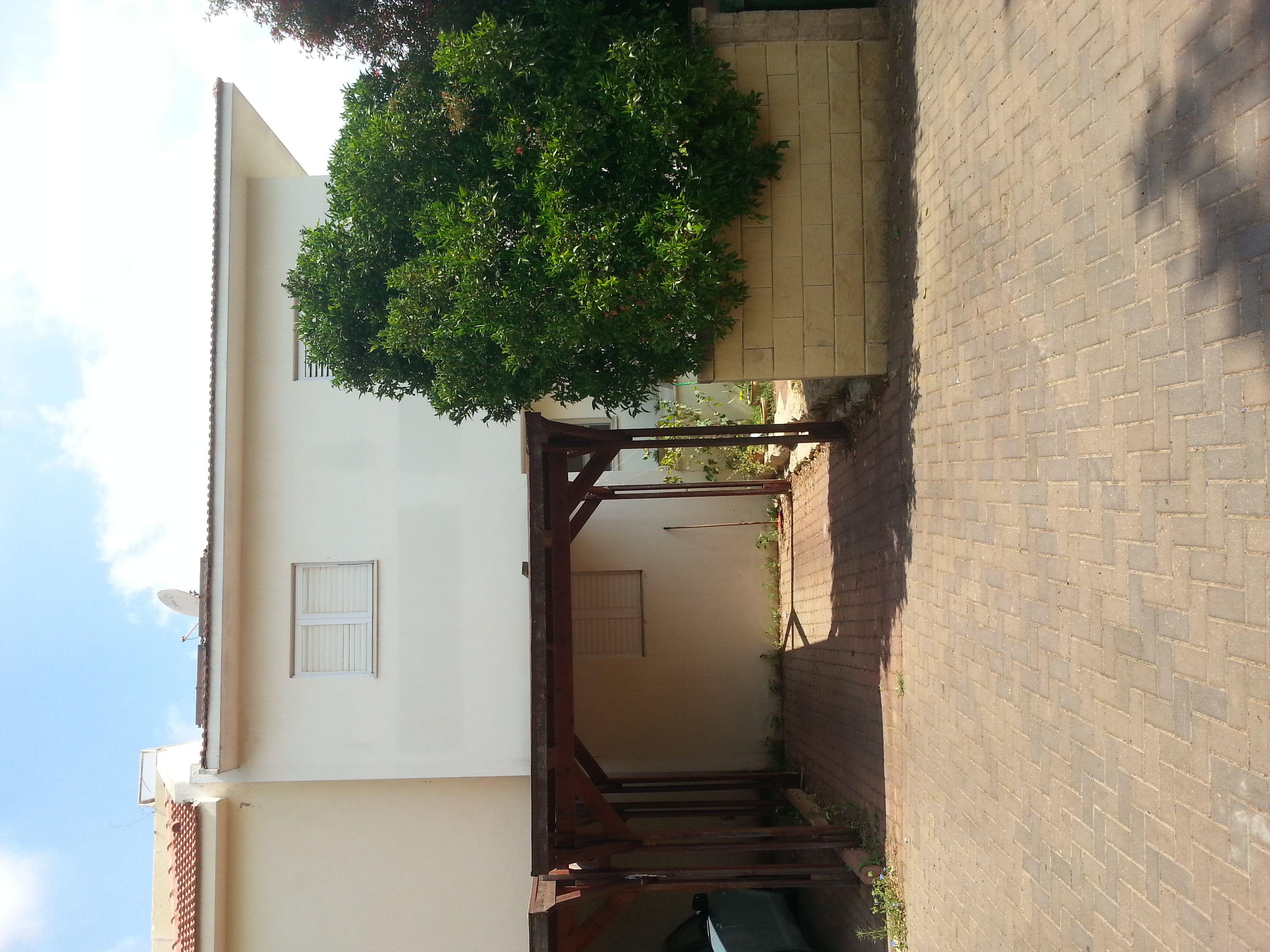 עבודות חוץ טייח צבעוני